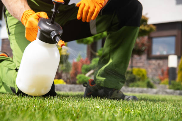 Best Wasp Removal Services  in Marlton, NJ