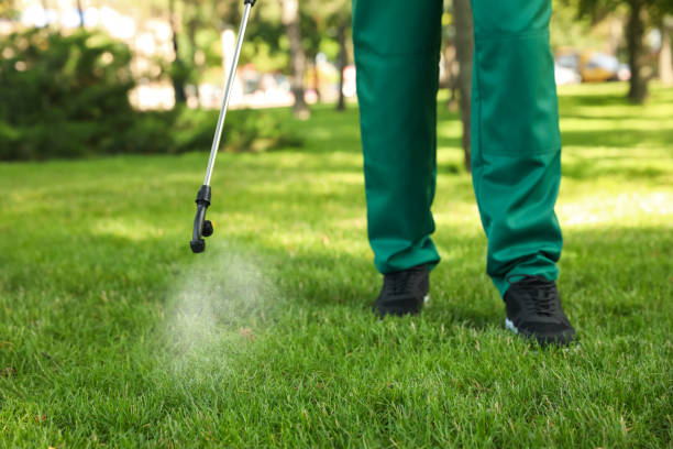 Best Affordable Pest Control Services  in Marlton, NJ