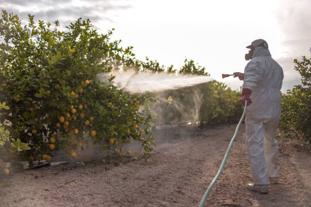 Best Pest Inspection Near Me  in Marlton, NJ