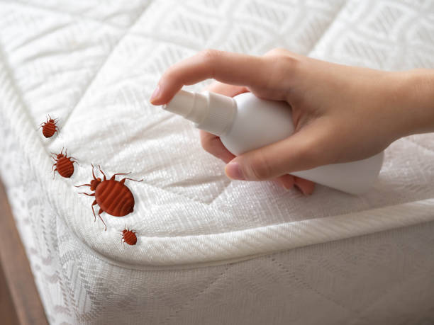 Best Residential Pest Control  in Marlton, NJ