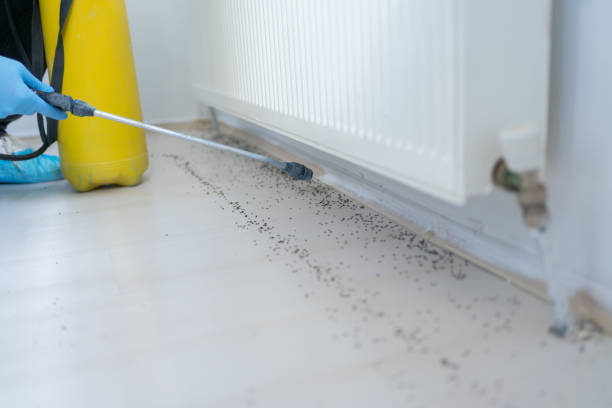 Best Local Pest Control Services  in Marlton, NJ