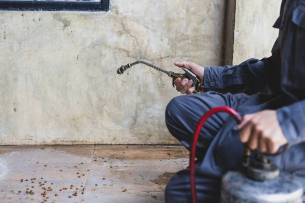 Best Best Pest Control Companies  in Marlton, NJ
